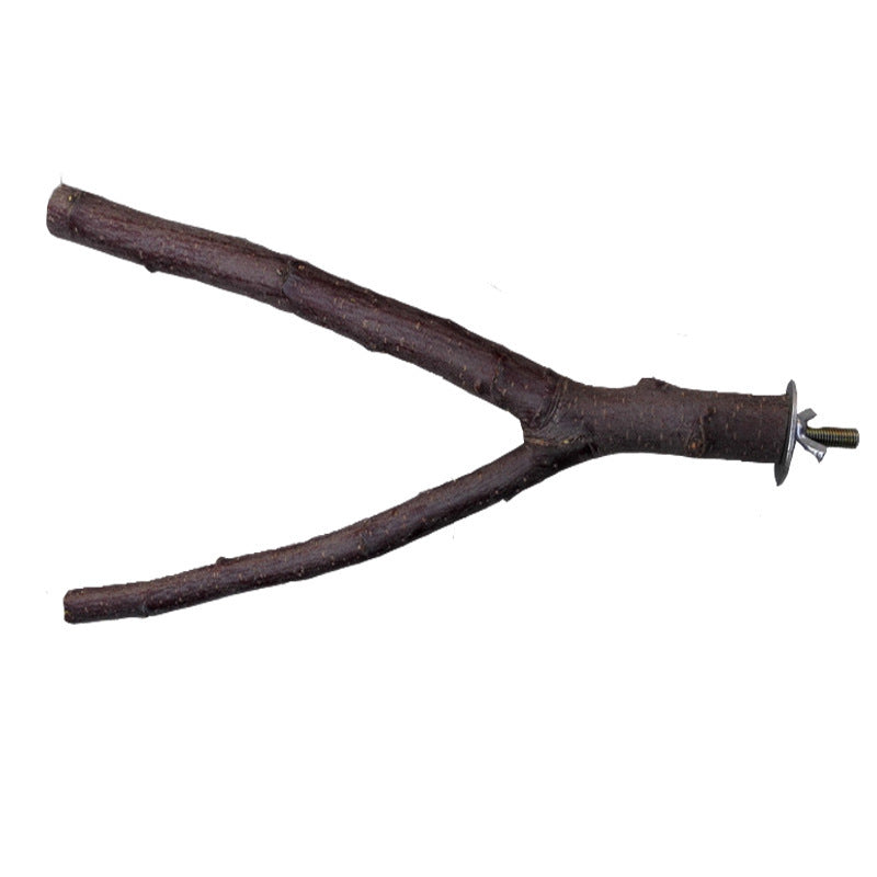 Ring and Branch Stands