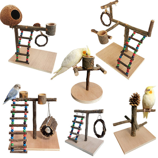 Solid Wood Bird Training Station